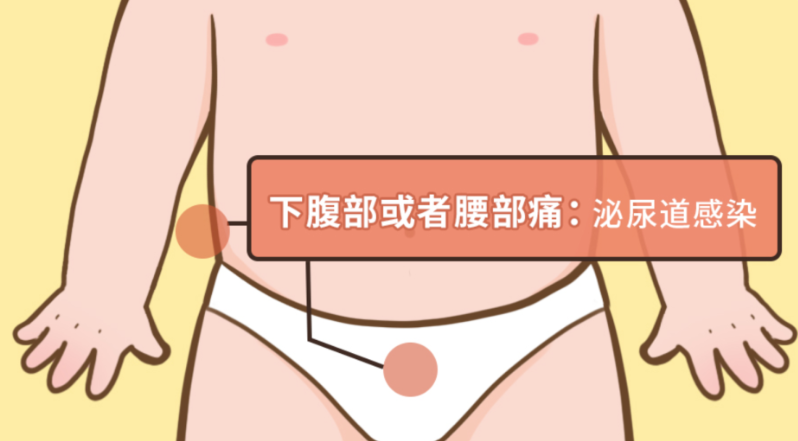 下腹或腰部疼痛.png