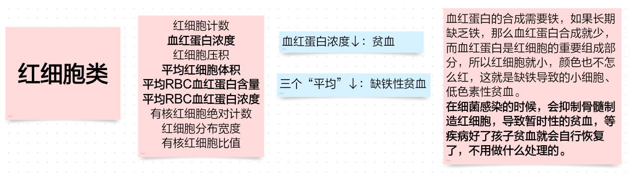 红细胞类.jpg