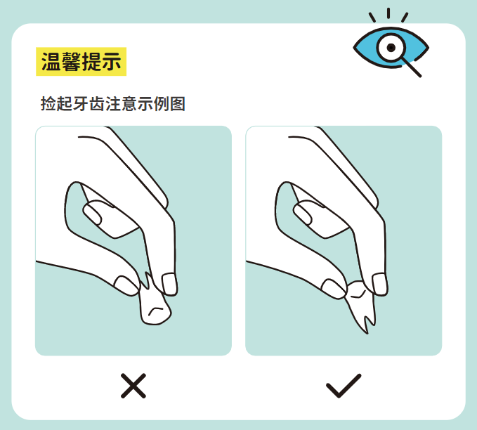 牙齿捡取.jpg