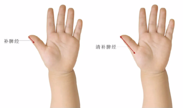 健脾经.jpg