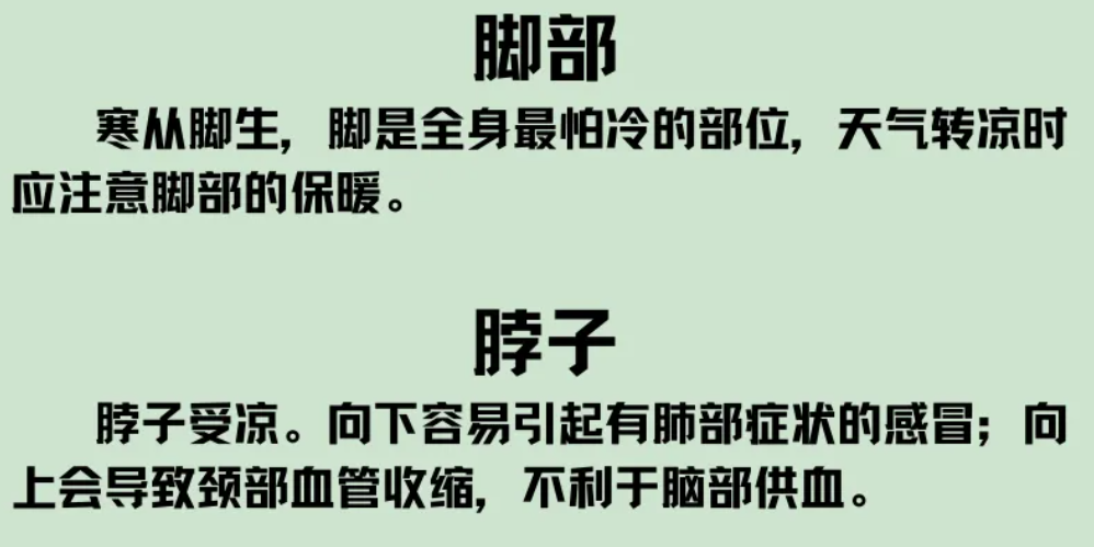 脚部、脖子.jpg