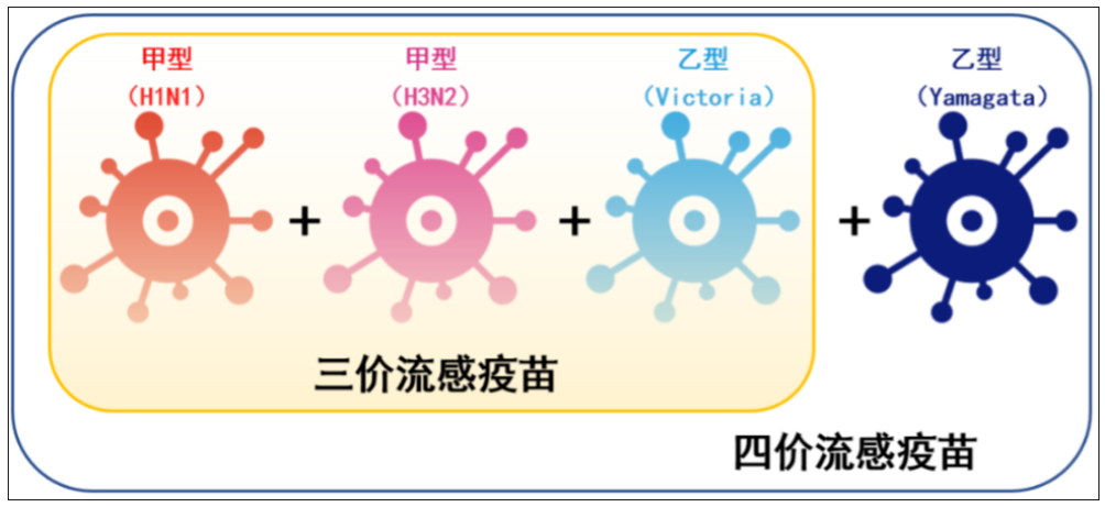 图4.jpg