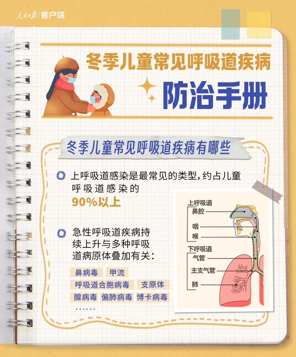 图1(1).jpg