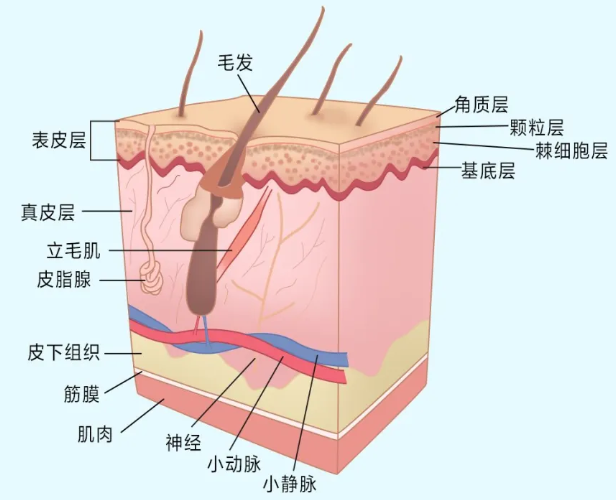 图1.png