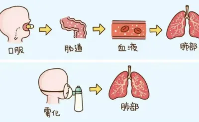 雾化相关图2.jpg