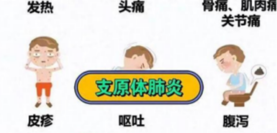 志愿图，图3.png