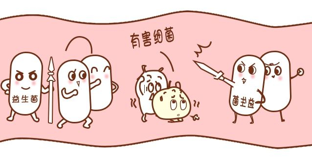 益生菌，图2.png