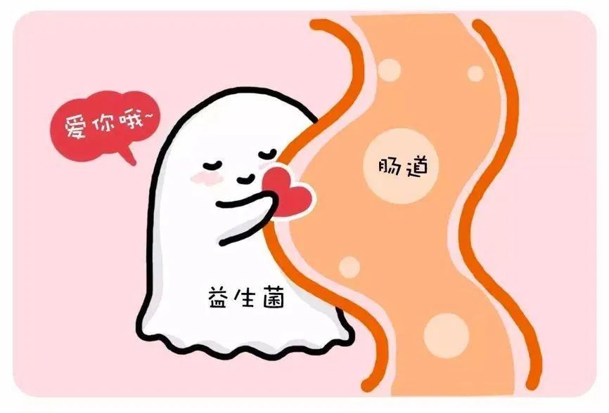益生菌，图7.jpg