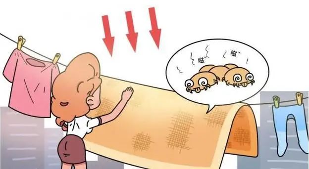 图5.jpg