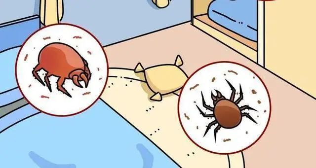图6.jpg