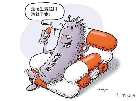 抗生素，图2.jpg