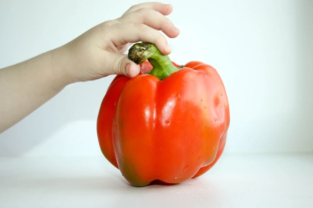 食材，图5.jpg