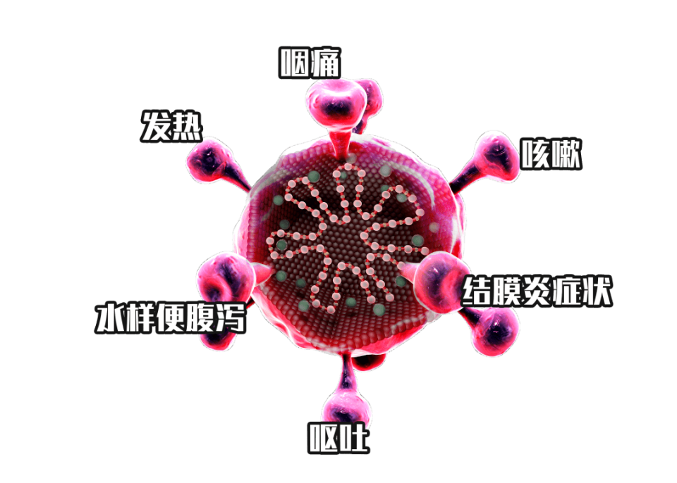 毒王，图1.png
