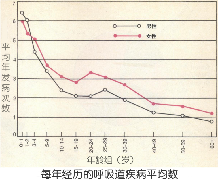 图1.png