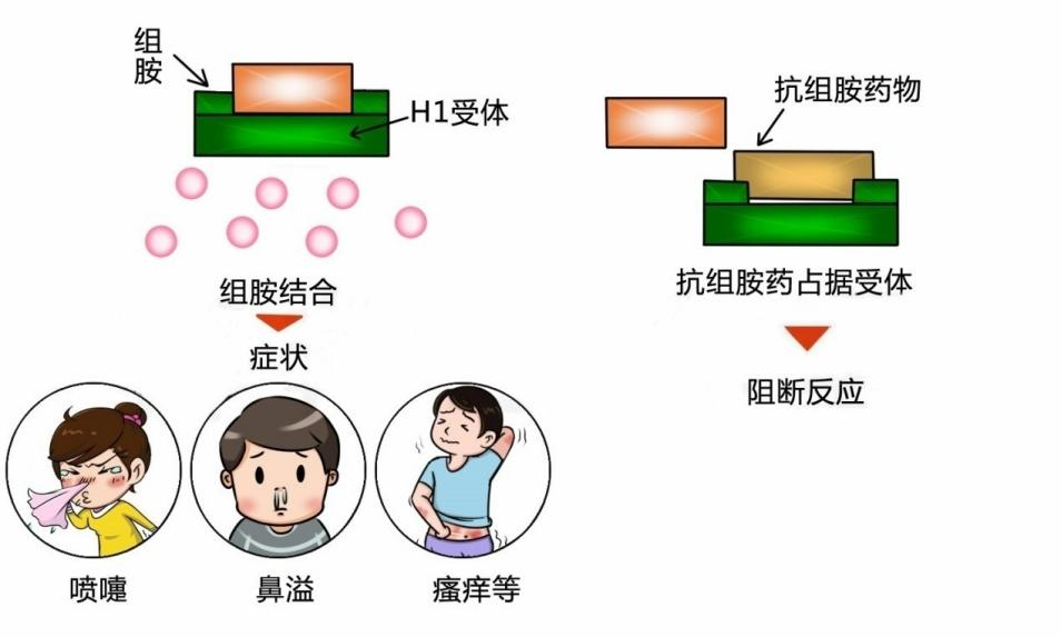 图1.png