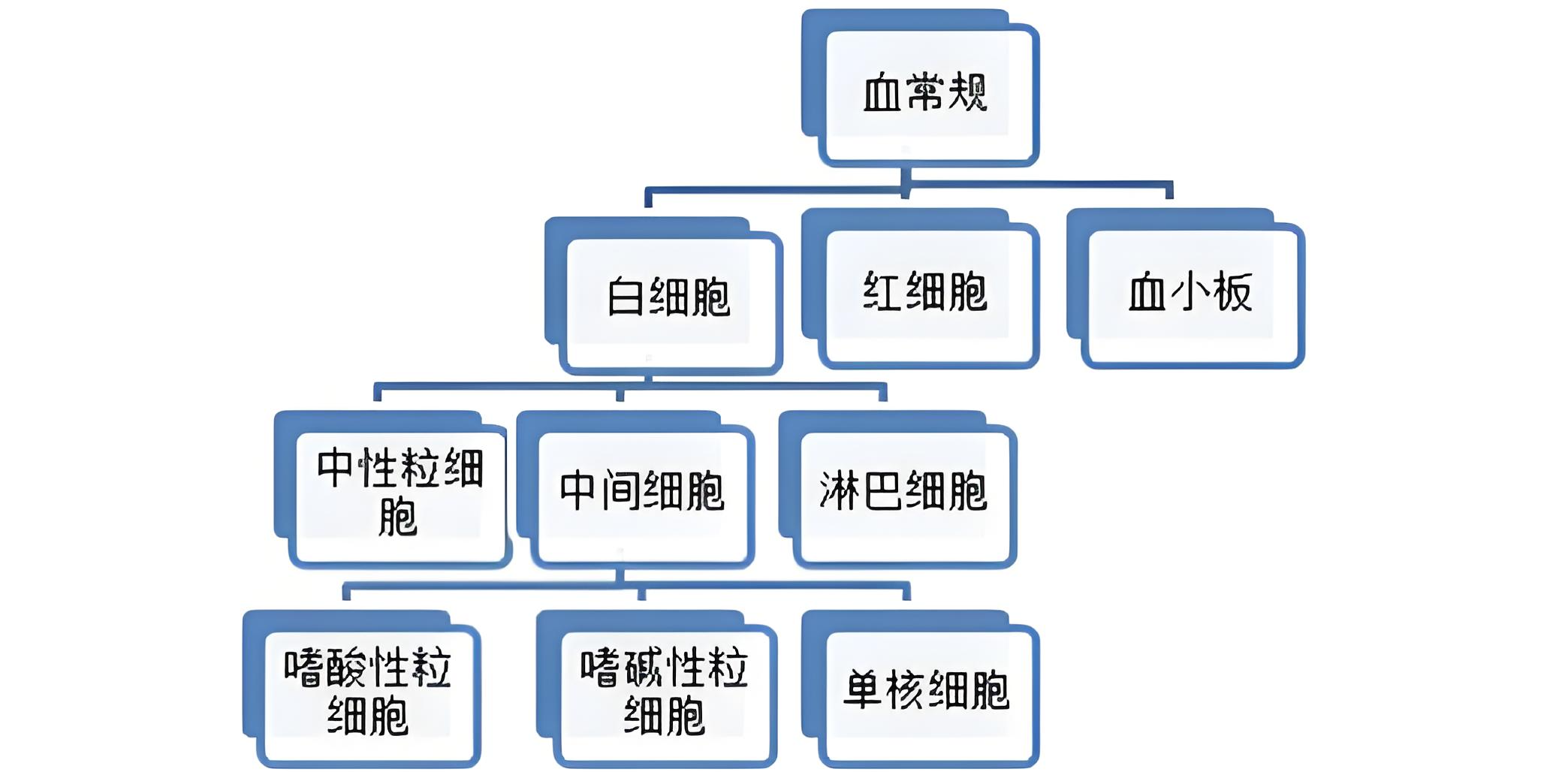 血常规，图1.png