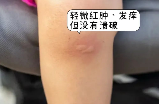 图3.png