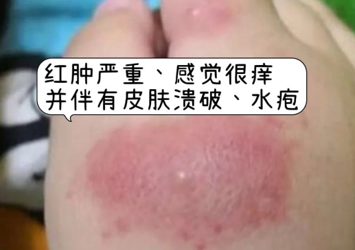 图5.png