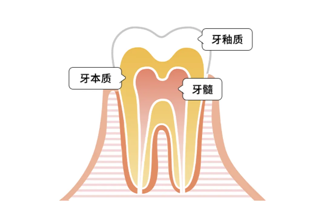图3.png