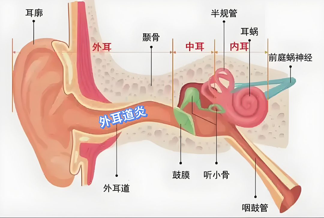 图2.png