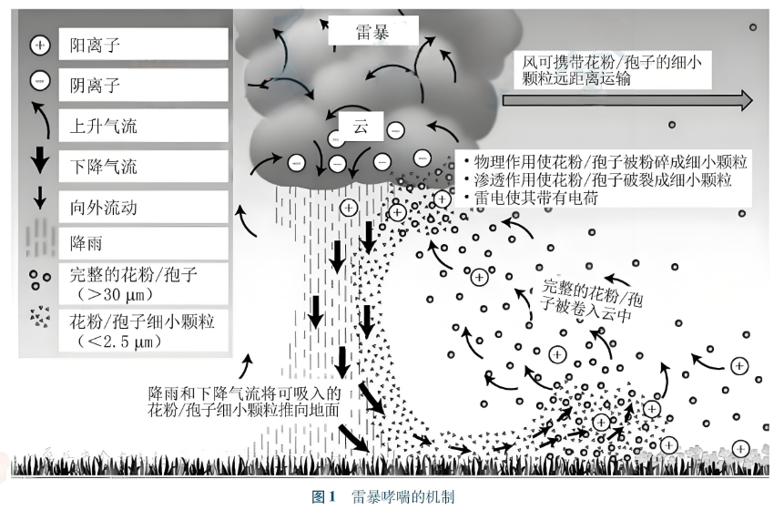 图2.png